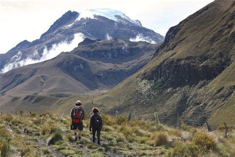  Le Parc de Los Nevados: Une Évasion Alpiniste au Cœur du Café Colombien!